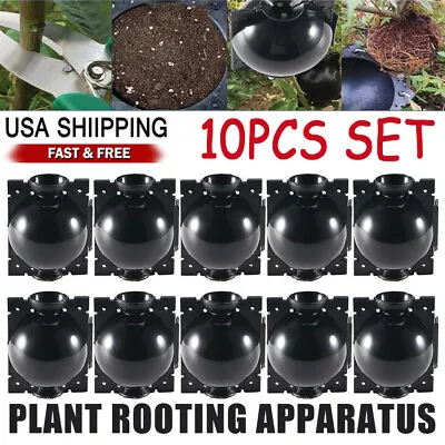 10X High Pressure Propagation Plant Rooting Device Ball Box Growing Graft Garden • $8.23