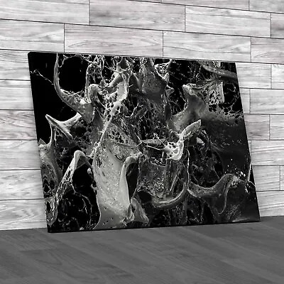 Colourful Dance Of Paints Black White Canvas Print Large Picture Wall Art • £18.95