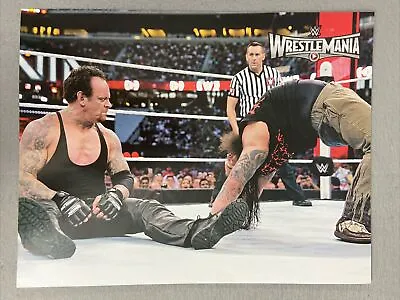 The Undertaker & Kane WWF WWE Wrestlemania Poster 11x14 • $22.22