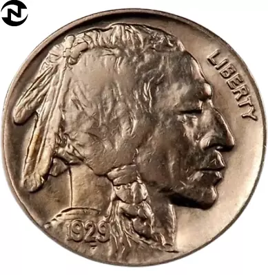 1929 Buffalo Nickel ~ Borderline Uncirculated (Choice AU+) ~ 1 Coin • $29.98