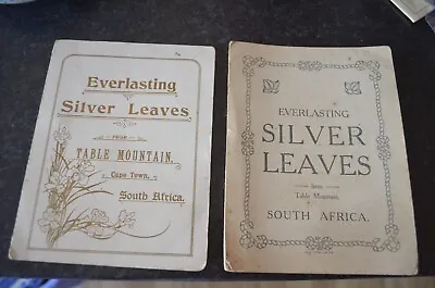 £4 • Buy 1903 SOUTH AFRICA TABLE MOUNTAIN SILVER LEAVES Old PAINTINGS RMS Ship Amazing!!