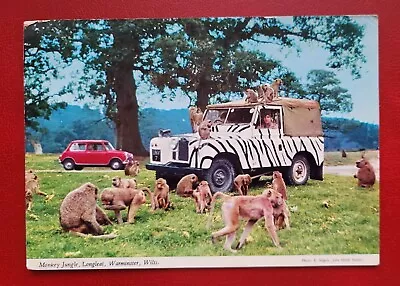 Postcard Unused Monkey Jungle Longleat Warminster Wiltshire • £2.99