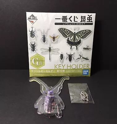 Bandai Japan Exclusive Insect Acrylic Keychain Key Holder Prize Longhorn Beetle • $9.99