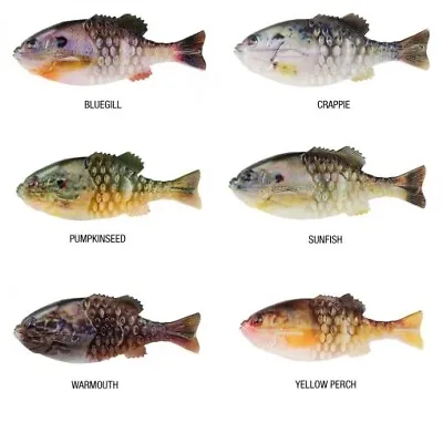 Berkley Power Bait - Gilly 90mm - Choose Color - • $7.99