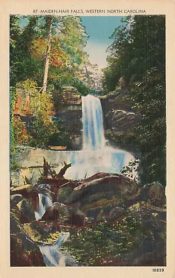 Postcard Maiden-Hair Falls Western North Carolina • $4.75