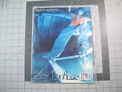 Vtg 1990s Skateboard Magazine Big Brother #17 Sealed In Plastic Sonic 101 • $150