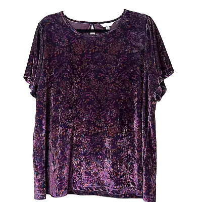 Lucky Brand Shirt Blouse  Women 1X Velvet Floral Short Sleeve  Purple Top • $18.99