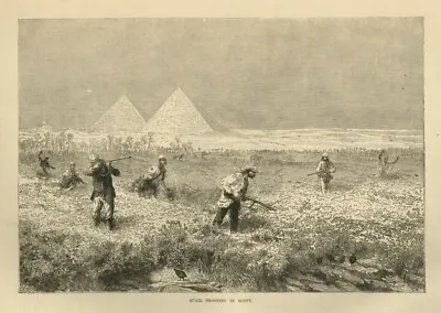 Sportsmen Quail Shooting Hunting In Egypt Near The Majestic Pyramids Quail Hunt • $65