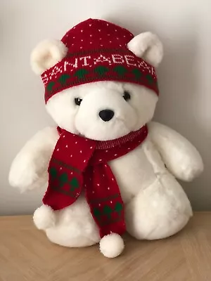 1985 Dayton Hudson First Santa Bear With Epcot Shopping Bag • $45