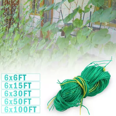 Heavy Duty Trellis Netting Plant Support Net Garden Vine Vegetable Climbing Grow • $12.39