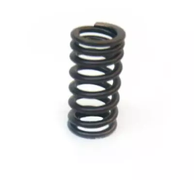 New Volkswagen Beetle A5 Engine Valve Spring 06e109623ad • $23.90