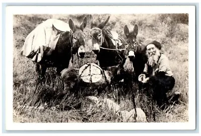 C1940's Peter Voss & Donkeys Prospector Miner RPPC Photo Unposted Postcard • $39.95