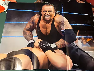 2005 WWE WRESTLING THE UNDERTAKER TWO SIDED POSTER 21 X 24 INCHES GOOD COND • $10.48