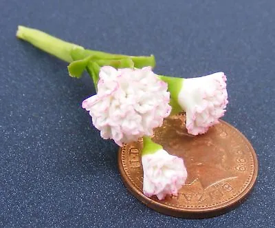 Bunch Of 3 Carnation Flowers Tumdee 1:12 Scale Dolls House Miniature Garden ML • $1.87