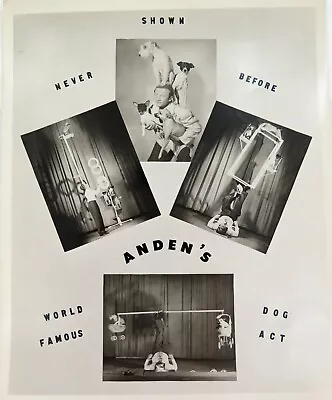 RARE C1940s Circus Performers “Anden's World Famous Dog Act  Promotional Card • $99