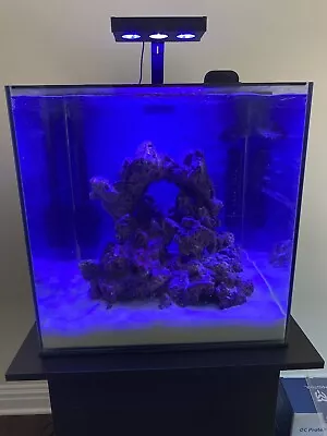 35 Gallon Cubed Salt Water Tank (cycled) • $350