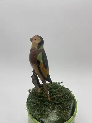 Antique Vintage  Folk Art Miniature Hand Carved Bird 6” Branch Wire Legs • $36