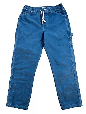 Urban Outfitters BDG Mens Medium Blue Corduroy Carpenter Pants • $24.95