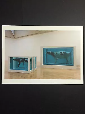 DAMIEN HIRST  Artist's Card Tate Modern Gallery 2012 • £11.99