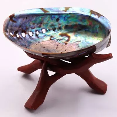 Polished Natural Abalone Shell Sage Smudge Kit With Tripod Stand For Home Decor • £61.08