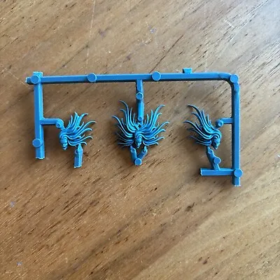 3 Daemonette Heads Age Of Sigmar Or Fantasy Battle/Old World • $4.50