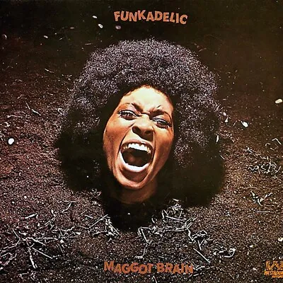 VINYL Funkadelic - Maggot Brain • $14.50
