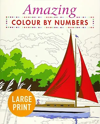 Large Print Colour-by-Numbers Amazing Book New Paperback Advanced Colouring Book • £6.99