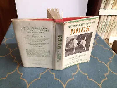 Observers Book Of Dogs 1946 • £15.99