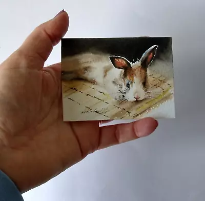 Original Not A Print ACEO Watercolour Miniature Signed. Rabbit .Collectable. • £8