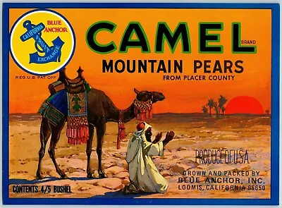 Camel Mountain Pears Vintage Original Paper Fruit Crate Label Loomis CA • $9.99