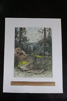 Josef Eidenberger Etching - Rossmoos Dachstein Upper Austria • $300