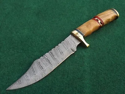 Handmade Forged Damascus Steel 12.5  Hunting Knife Wood Handle Bras Guardsheath • $44.99