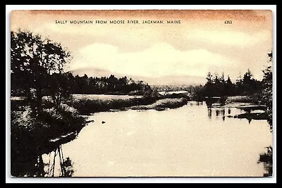 Jackman Maine Sally Mountain Moose River Postcard      Pc15 1 • $9