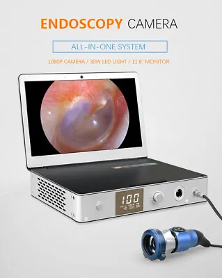 3in1 1080P Endoscopy Camera Endoscope Borescope USB HDMI MAC Phone True 1200TVL • $1199