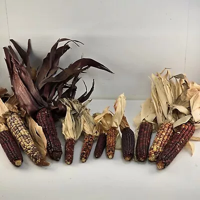 Decorative Indian Corn 4 Mini + 6 Pc 6-8  Fall Decor Colored Cob Door Halloween • $20