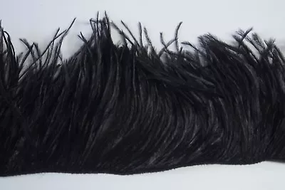 $20.99 • Buy 12  OSTRICH FEATHER FRINGE - BLACK 3-6  Craft/Trim/Halloween/Costume/Fashion