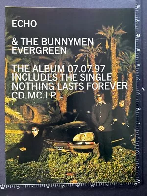 ECHO AND THE BUNNYMEN - EVERGREEN 8X11  Original Magazine Advert M83 • $6.21