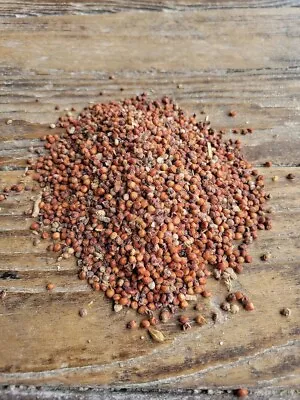 Red Milo Sorghum Grain Seed - Mushroom Spawn 5lbs • $15.99