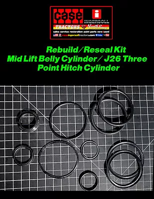 Cylinder Reseal Rebuild Kit C30054 C26495 Case Ingersoll Mid Lift/J26 3 Point • $49