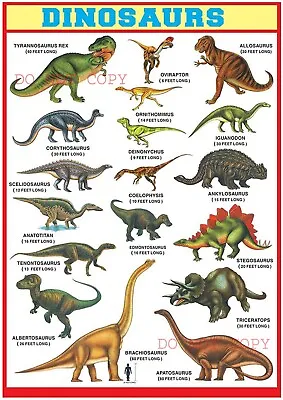 Dinosaurs Wall Chart Educational Poster Wallchart A4 Glossy + Free Postage • £3.85