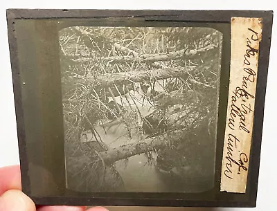 Pike Peak TR Colorado Alex Martin WH Jackson FROM STEREOVIEW Glass Lantern Slide • $25