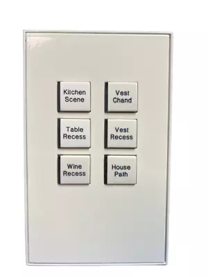 Vantage 2K21 6-Button SquareTouch Engraved Keypad In Lt Almond - PreOwned • $72.22
