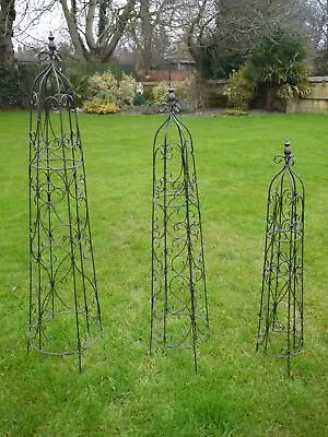  Set Of 3 'Charlotte' Wrought Iron Garden Obelisk • £91