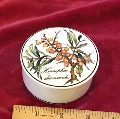 Villeroy & Boch Vtg Porcelain Trinket Box Lid Hippophae Rhamnoides Botanica Art • $5.99