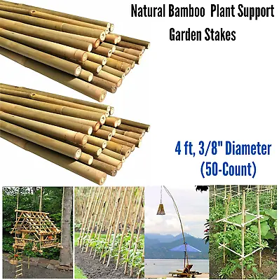 $37.99 • Buy 50 Bamboo Stakes Plant Support Sticks Garden Trellis For Roma Tomatoes Sunflower
