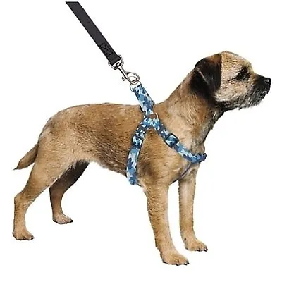 Colour Urban Camouflage Dog Harness Large - Size 6-8 • £11.40