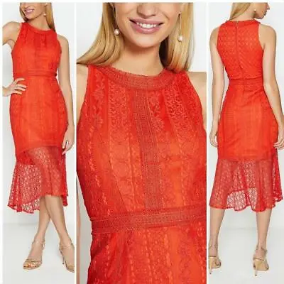 £62.99 • Buy Coast - High Low Hem Lace Dress - Orange - Size 14 (Brand New With Tag)