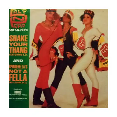 Salt 'N' Pepa - Shake Your Thang / Spinderella's Not A Fella (But A Girl DJ) (Vi • $7.74