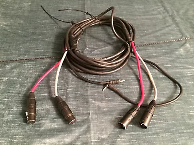 CABLE HARNESS TWIN 3-pin XLR To 3-pin XLR W/ STEREO MINI-MIC To STEREO MINI-MIC • $79