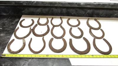 $39.99 • Buy 15 Old Antique  Good Luck Rusty  Kansas Farm Horse Shoe Lot E